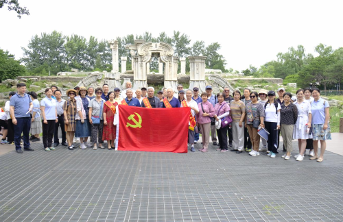 图片5 图片5